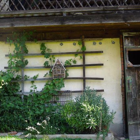 Fruehstueckspension Kammerer Pöchlarn Extérieur photo